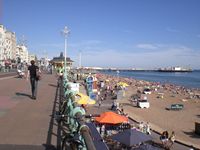 Palace Pier and seafront
