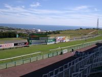 Brighton race course